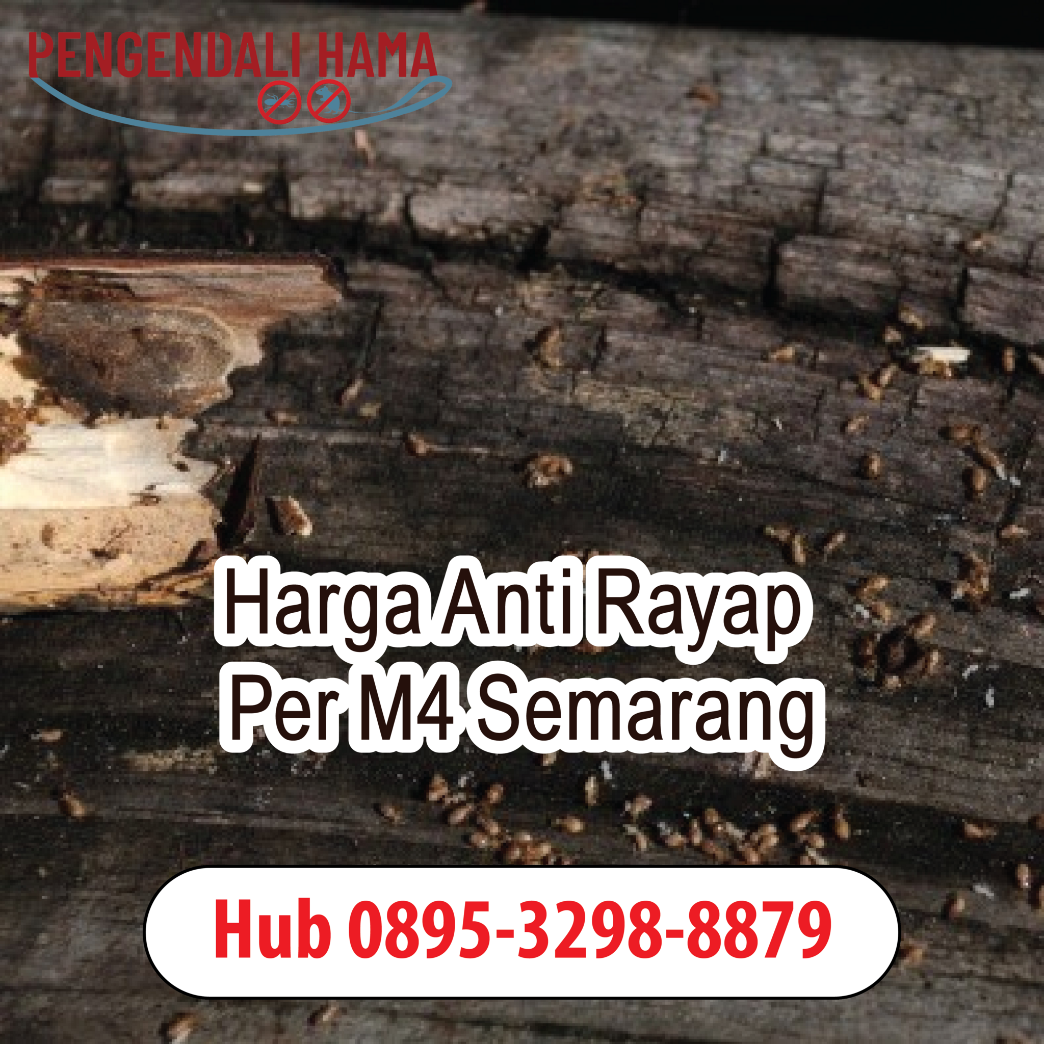 Wa 0895-3298-8879 , Jasa Pengusir Tikus di Jakarta
