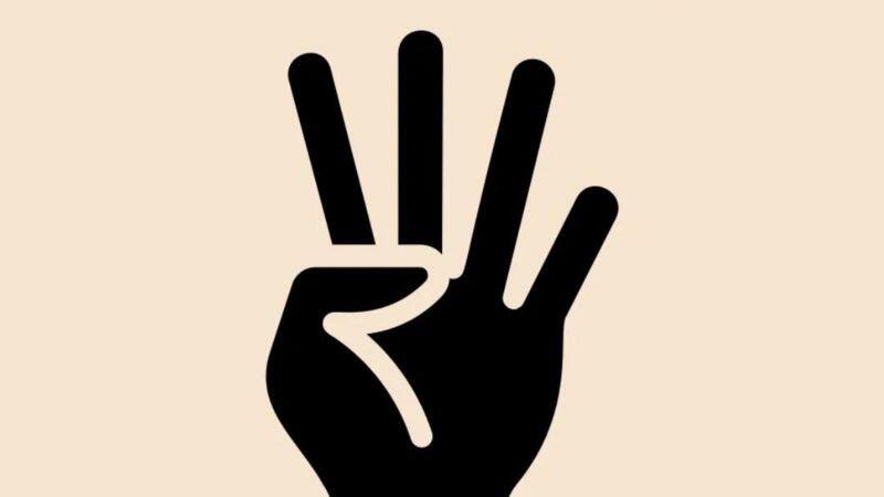 Salam R4BIA ala Revolusi Mesir 2013 Meneror Pilpres RI 2024