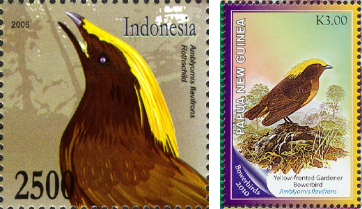 Hewan-hewan Unik Dari Indonesia yang Jarang Orang Tahu PART 1