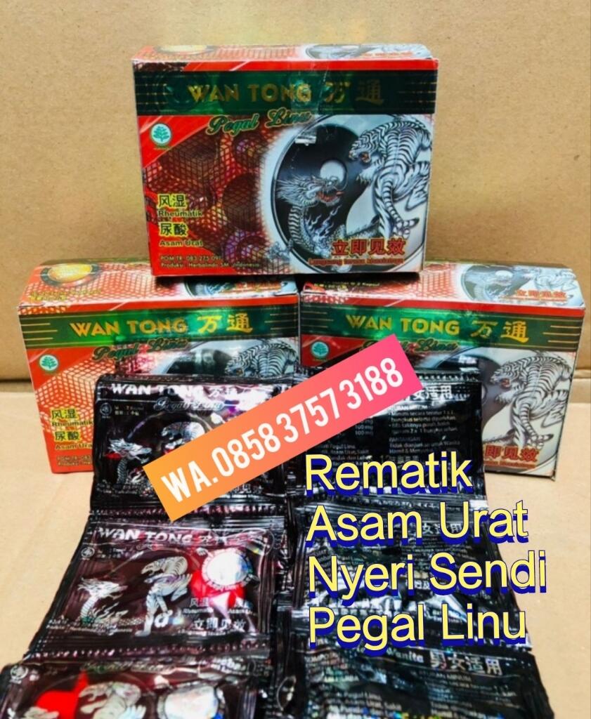 ™0858 3757 3188™JUAL OBAT REMATIK WANTONG YAOSTEIN TONG MAI di PEKANBARU ASAM URAT