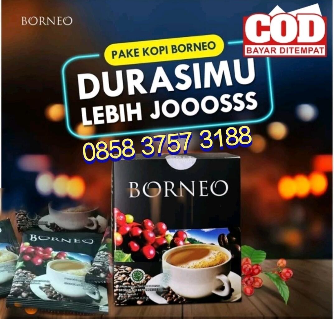 TOKO JUAL KOPI BORNEO terdekat pekanbaru kirim ke makassar manado april 2024jitu