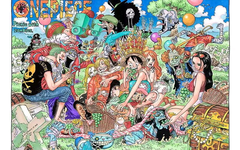 One Piece Cover