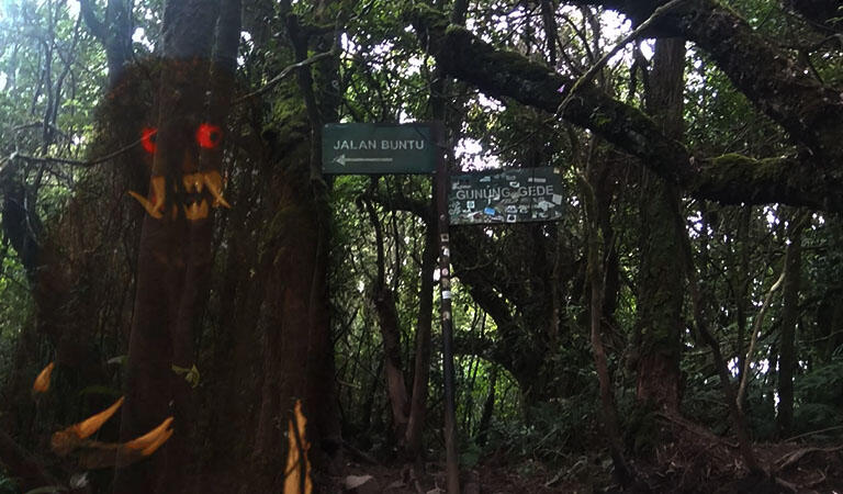 Pendakian Horor Gunung Gede, Diganggu Dari Pos 4 Simpang Maleber dan Sosok Misterius