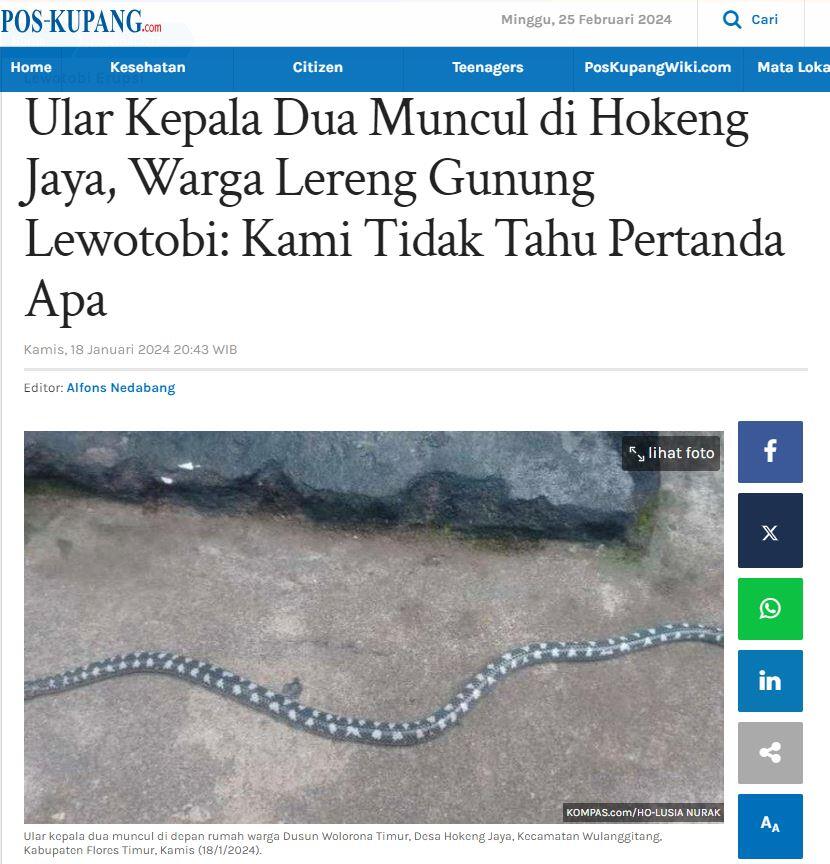 Hewan-hewan Unik Khas Indonesia yang Jarang Orang Tahu! PART 3