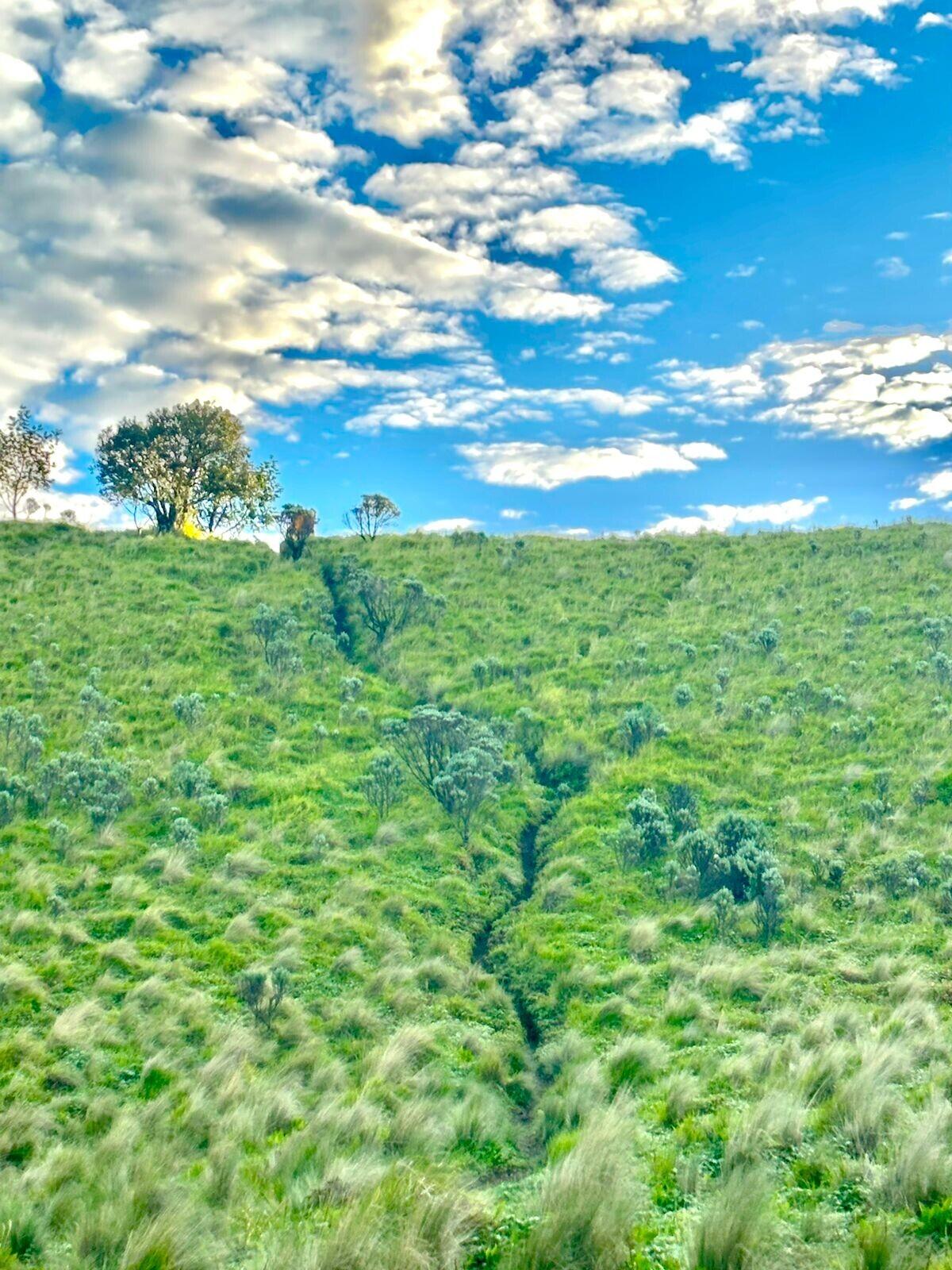 Pesona Merbabu Selo, Senang Rasanya Bisa Kembali Setelah 10 Tahun Lamanya