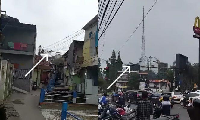 Kawanan Monyet Turun Gunung Serbu dan Berkeliaran di Kota Bandung, Apa Penyebabnya!