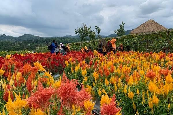5 Destinasi Wisata Terbaru yang Mengagumkan di Jawa Tengah Tahun 2024