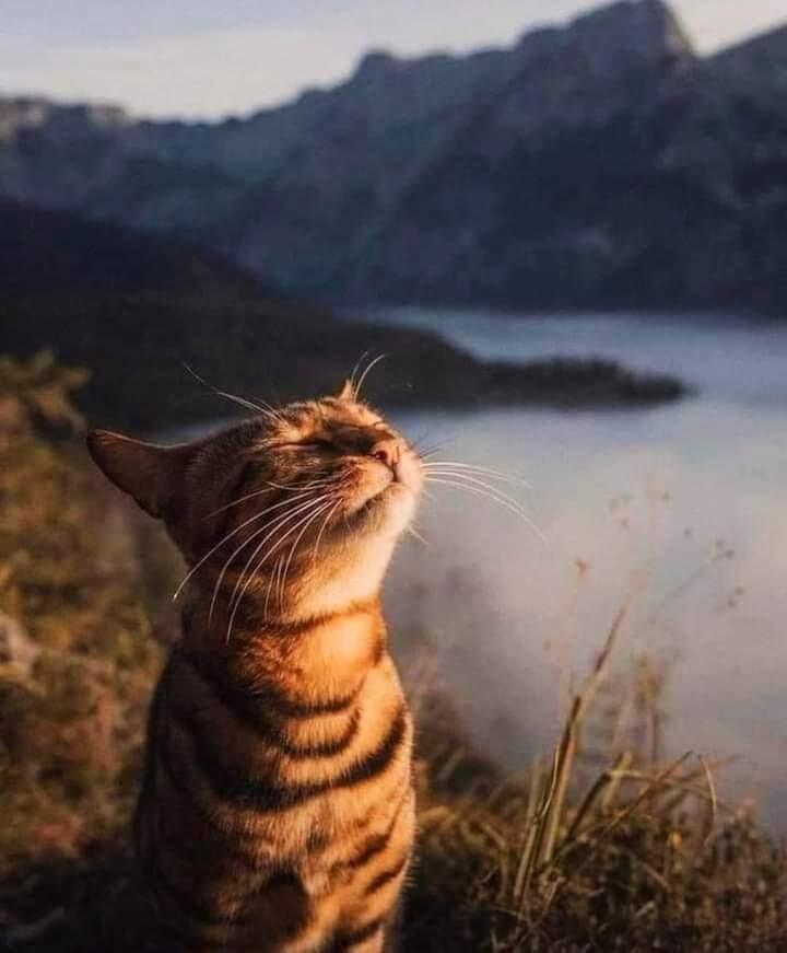 Aku Puasa ....