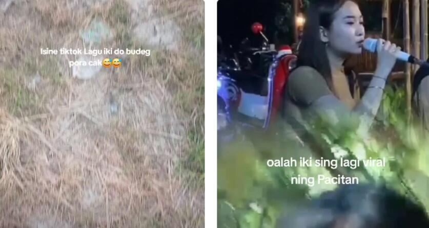 Link Viral Pacitan Neng Alas Video Terbaru 2024