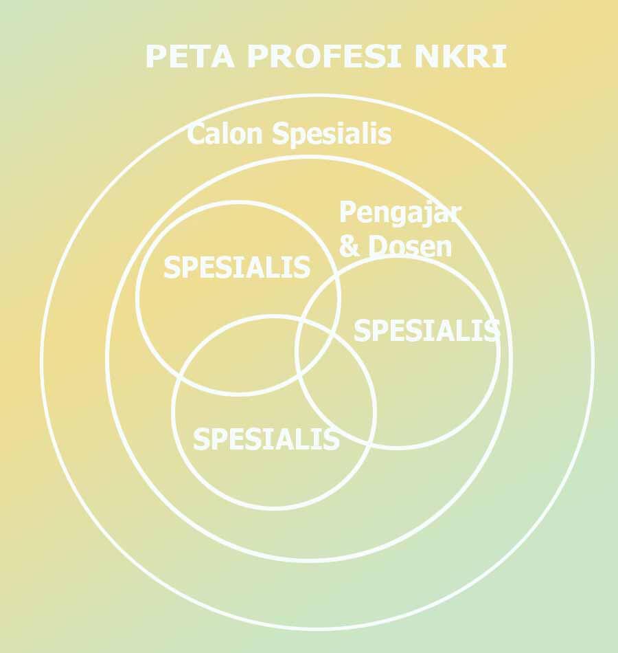 (Nasionalisme) NKRI from Above : Graphic2 Saya Teruntuk NKRI Kita Semuanya