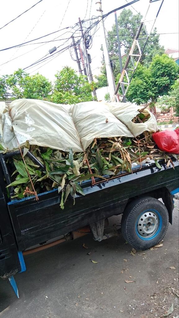 Jasa Buang Puing di Bogor Harga Murah Terbaik dan Terpercaya