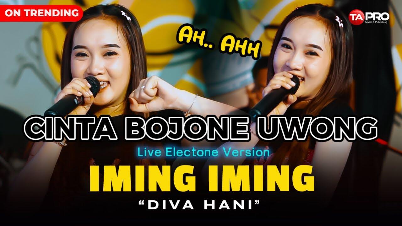(6.09MB) Download Lagu DIVA HANI IMING IMING CINTA BOJONE UWONG Mp3 Terbaru