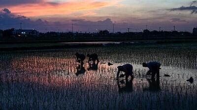 15.000 Ilmuwan Kompak Teriak Bumi Kiamat, Jadwalnya Sudah Ada

