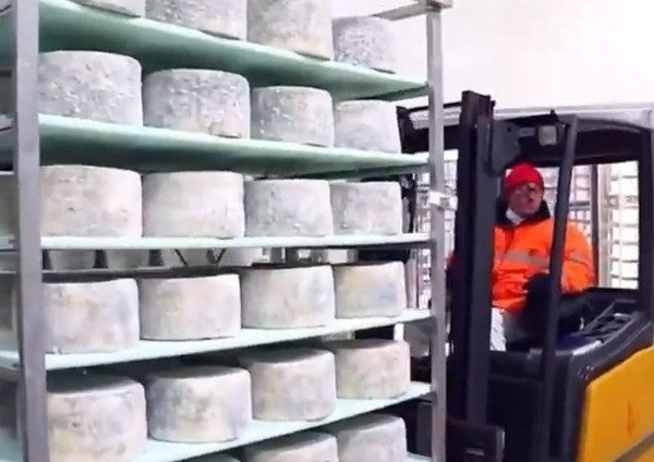 Begini Proses Pembuatan Blue Cheese, Keju Paling Bau di Dunia