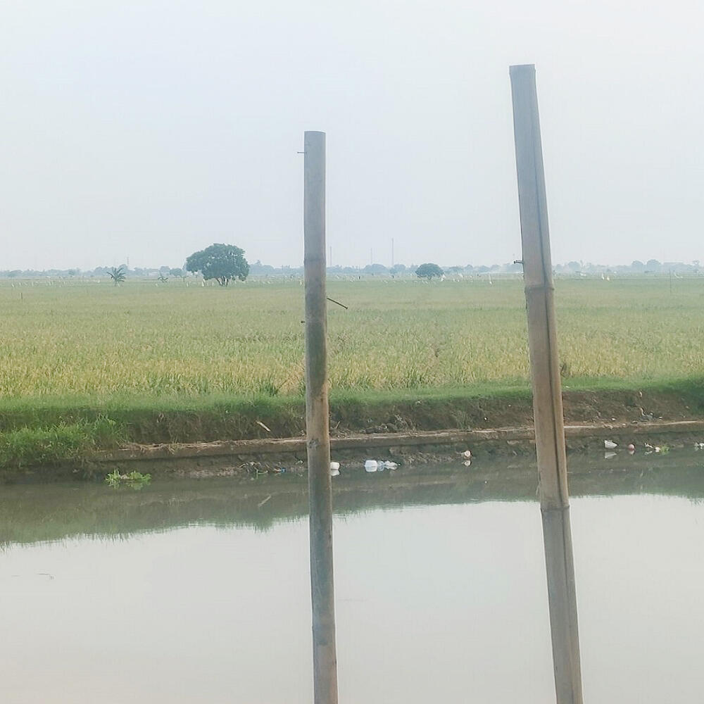 Dijual Tanah Sawah Yang Super Produktif 5,5 Hektar di Jayakerta Karawang