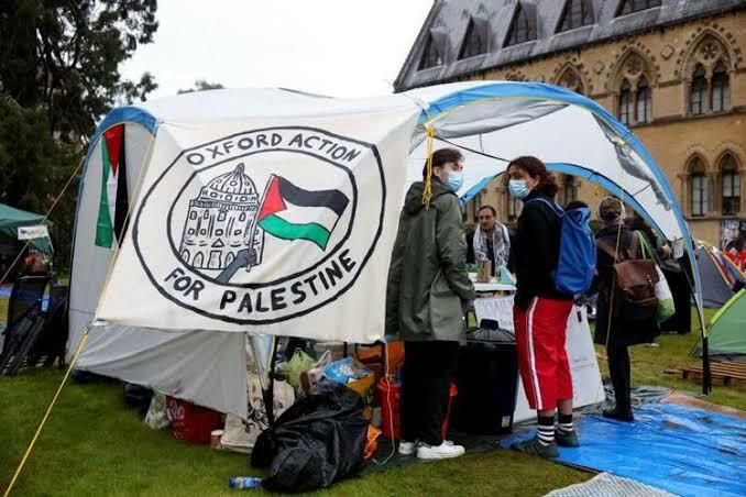 Geger! 100 Universitas di Dunia Gelar Aksi Pro-palestina, Oxford dan Cambridge Ikut!