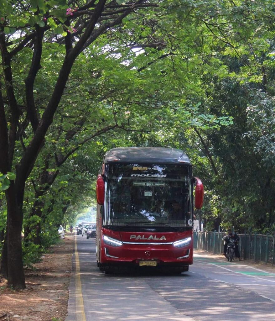 Bus AKAP Sumatera Barat: Persaingan Sengit di Jalur Jakarta - Padang