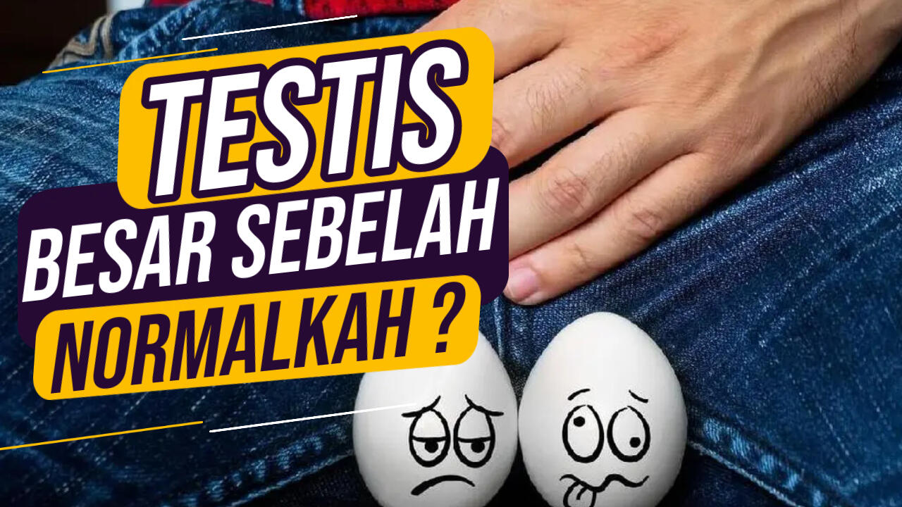 Testis Besar Sebelah, Kondisi Normal namun Bisa Berbahaya