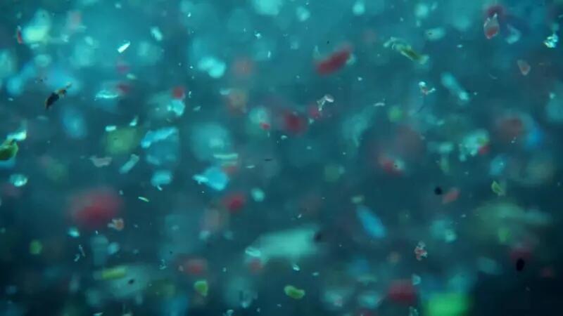 Orang Indonesia Telan Mikroplastik Kedua Terbanyak di Dunia, 13 Gram Sebulan