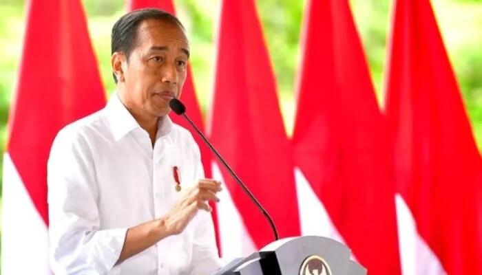 Jokowi Optimis Berkantor di IKN Juli 2024