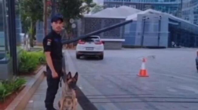 Kronologi Kasus Satpam Plaza Indonesia Pukul Anjing Hingga Dipecat!