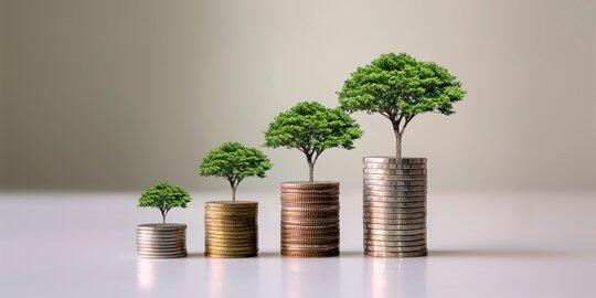 Panduan Cerdas: Strategi Investasi untuk Masa Depan Finansial Anda
