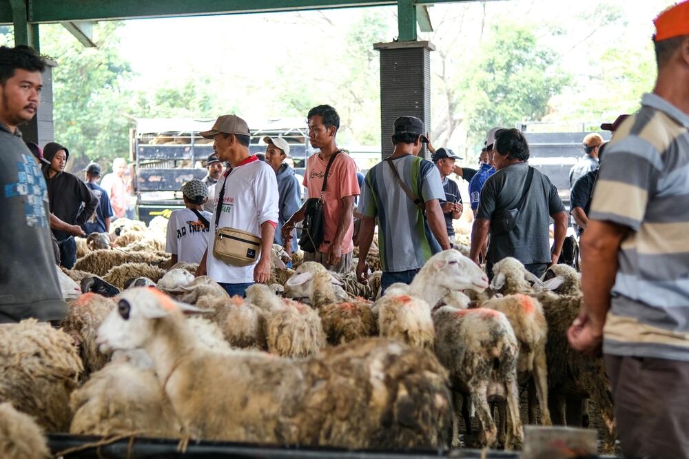 Bagaimana Cara Agan Siapin Bujet Uang Kurban?