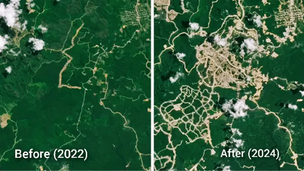 Jokowi Sebut IKN Ramah Lingkungan, NASA Ungkap Kerusakan Hutan Luar Biasa