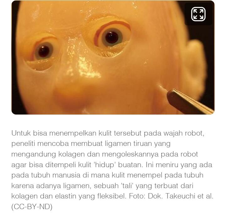 Robot Buatan Ilmuwan Jepang yang Pakai Kulit 'Hidup' di Wajahnya

