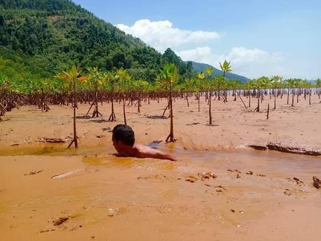 Pengaruh Aktivitas Tambang terhadap Ekosistem Terumbu Karang dan Pesisir Pantai