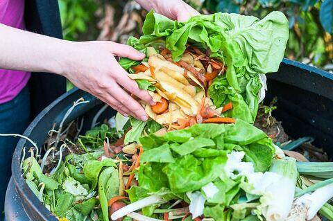 Prestasi Menuju Indonesia Emas 2045: Juara Buang-buang Makanan, 551 Triliun Per Tahun
