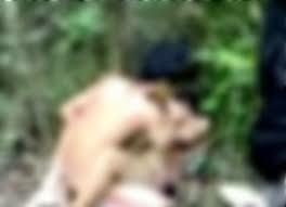 Video Indehoy Diduga Mantan Ketua KPU Dikabarkan Mulai Beredar, Warganet: Linknya