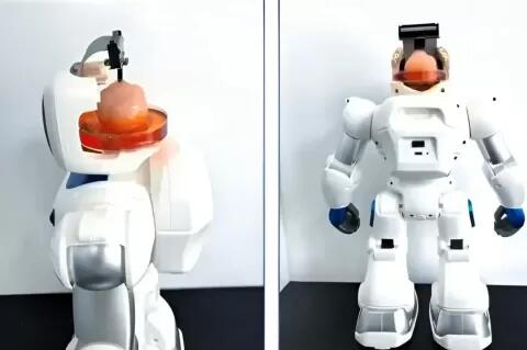 China Benamkan Otak Manusia pada Robot Organoid
