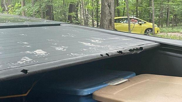 Truk Rp 5,6 Miliar Tesla Mirip Tempat Sampah, Bolong Digerogoti Hewan