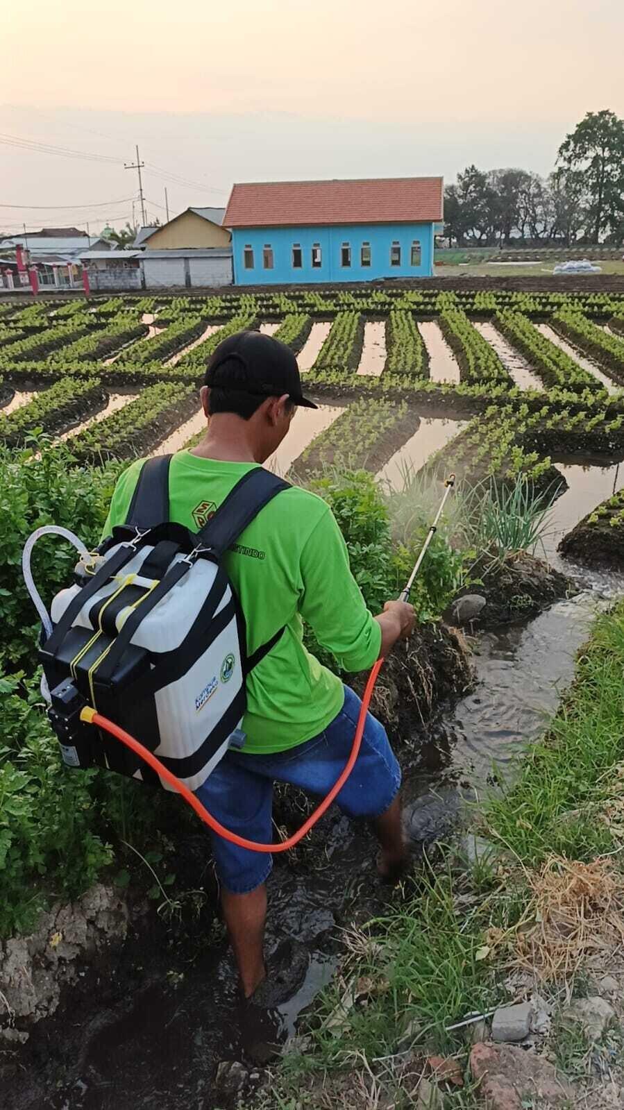 POWER SPRAY SOLUSI ALAT PESTISIDA ELEKTRIK PENGENDALIAN HAMA DIDESA KEMIRI