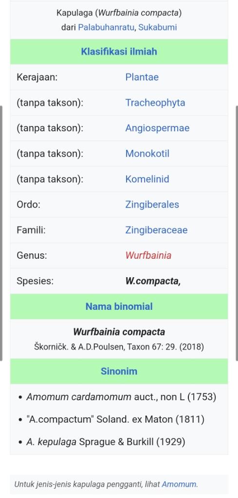 Mengenal Lebih Dekat Kapulaga: Rempah Khas Nusantara