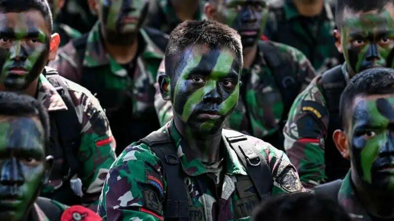 TNI Minta Cabut Larangan Tentara Berbisnis! Setuju Nggak Gansist, TNI boleh Nyambi?