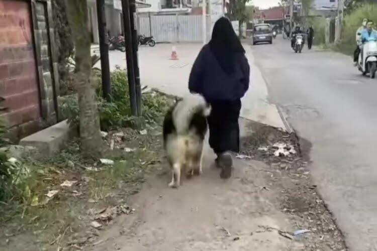 Bawa Anjing ke Minimarket, Wanita Berhijab Ini Tuai Hujatan Netizen! Apa Salahnya?