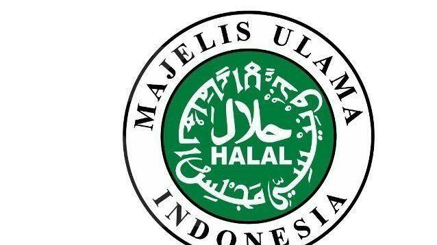 MUI Keluarkan Fatwa Baru Terkait Boikot Produk Pro Israel, Ini 5 Kriterianya Gansist!