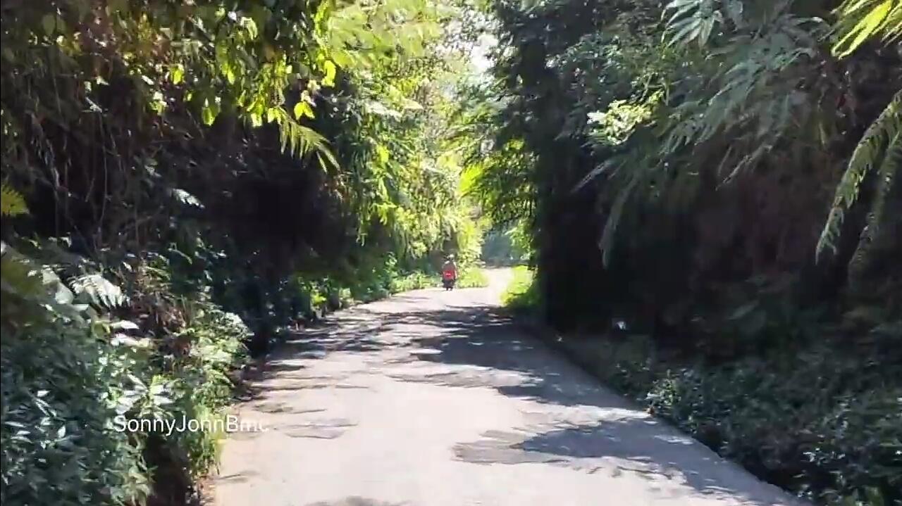 Rem Blong saat Lewati Jalan Menurun, Fortuner Masuk ke Jurang