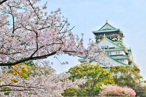 Fakta Pendidikan di Jepang, Salah Satu Negara Sistem Pendidikan Terbaik di Dunia
