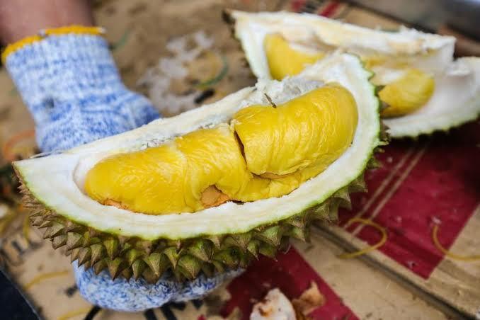 Singapura Dihujat Netizen Usai Sebut Durian Buah Nasional Mereka! Apa Salahnya?