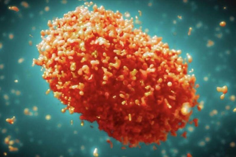 WHO Luncurkan Rencana Strategis Global Atasi Wabah Mpox