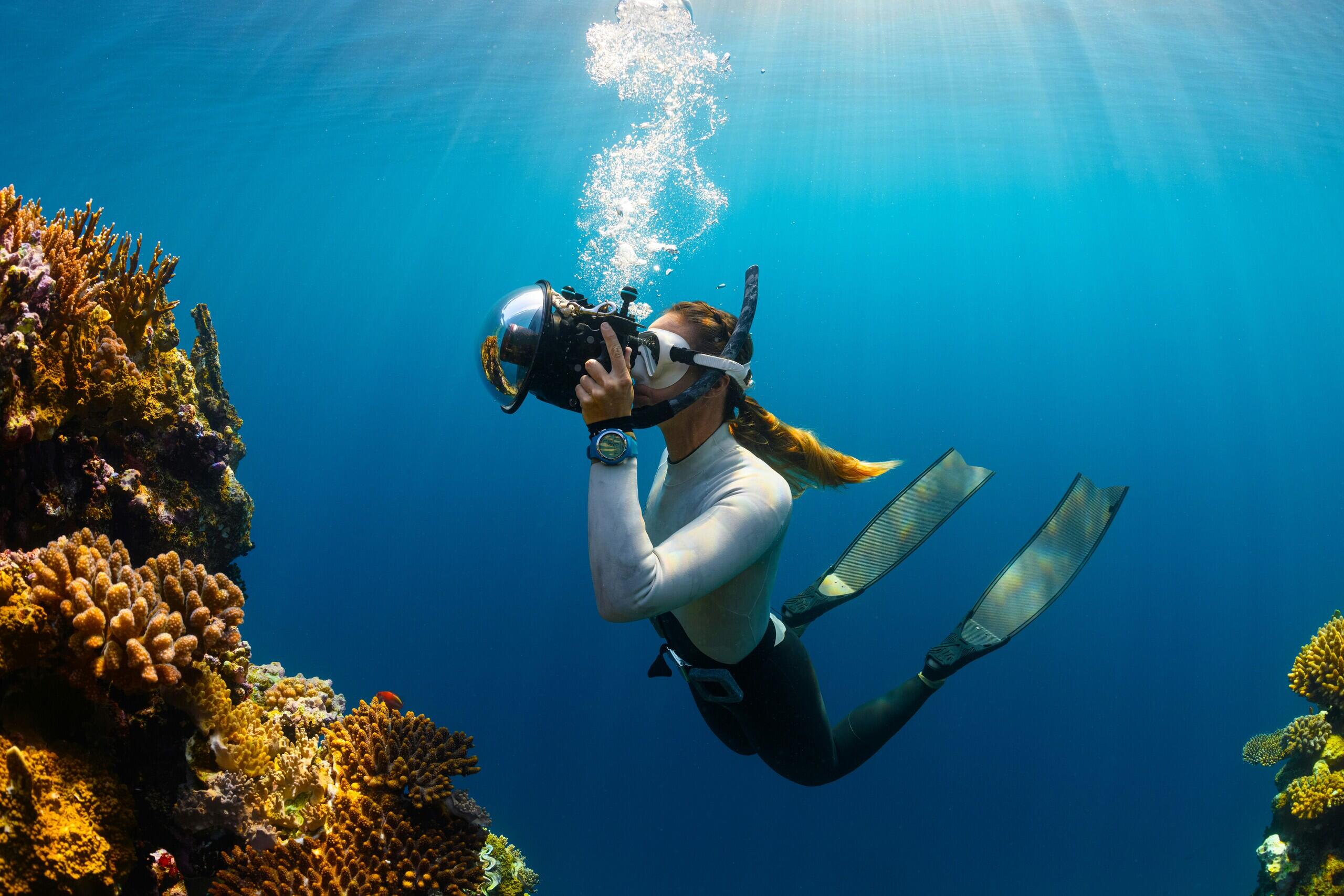 Penelitian, Edukasi Dampak Iklim di Great Barrier Reef Dorong Aksi Positif!