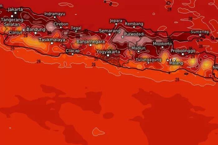 Citra Satelit Pulau Jawa Merah, Apa Penyebabnya?