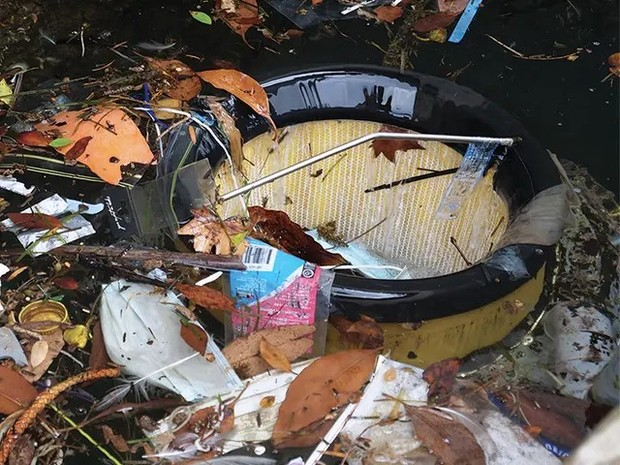 "Seabin", Tempat Sampah Terapung untuk Bersihkan Sampah di Lautan