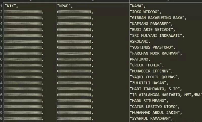 Bjorka Retas 6 Juta Data NPWP, Jokowi: Mungkin Kecerobohan Password! 5 Tips Kominfo