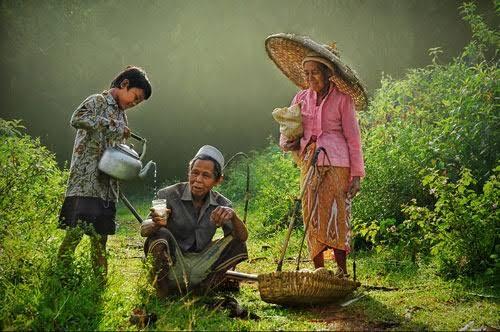 Korban mafia, jadi petani = jadi fakir miskin?