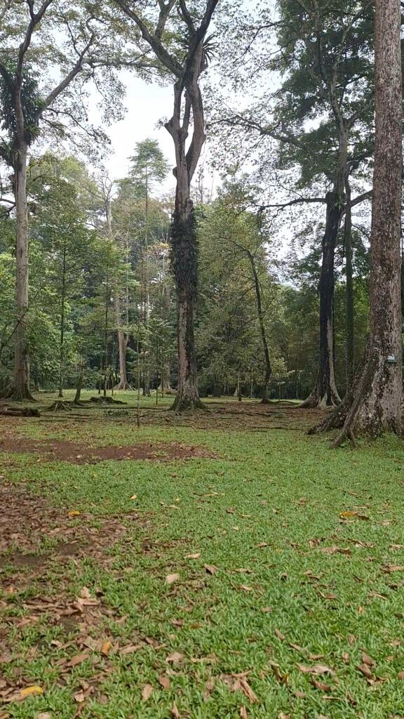 Petualangan Spontan ke Kebun Raya Bogor