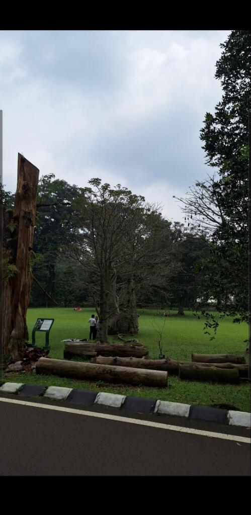 Petualangan Spontan ke Kebun Raya Bogor